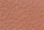 Swatch for Color Antique Tan