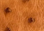 Swatch for Color Brandy