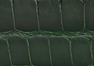 Swatch for Color Forest Green