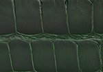 Swatch for Color Forest Green