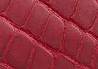 Swatch for Color Red