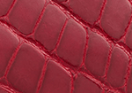 Swatch for Color Red