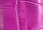 Swatch for Color Magenta