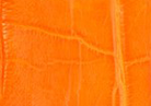 Swatch for Color Orange