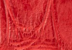 Swatch for Color Red