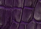 Swatch for Color Violet