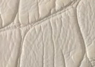 Swatch for Color White