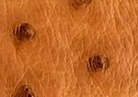 Swatch for Color Brandy