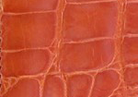 Swatch for Color Orange
