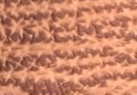 Swatch for Color Cognac