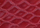 Swatch for Color Red