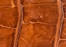Swatch for Color Brandy