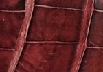Swatch for Color Burgundy