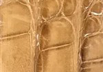 Swatch for Color Saddle Tan