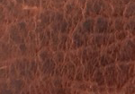 Swatch for Color Cognac