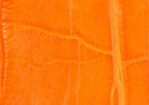 Swatch for Color Orange