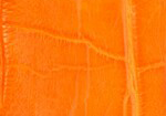 Swatch for Color Orange