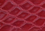 Swatch for Color Red