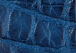 Swatch for Color Admiral Blue