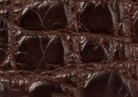 Swatch for Color Chocolate