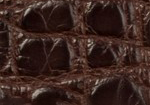 Swatch for Color Chocolate