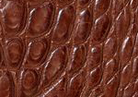 Swatch for Color Cigar