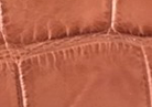 Swatch for Color Cognac