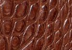 Swatch for Color Cigar