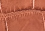 Swatch for Color Cognac