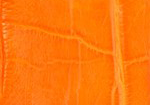 Swatch for Color Orange