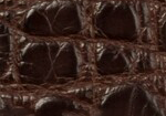 Swatch for Color Chocolate