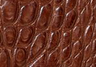 Swatch for Color Cigar