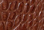 Swatch for Color Cigar