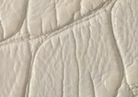 Swatch for Color White