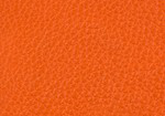 Swatch for Color Orange