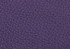 Swatch for Color Purple