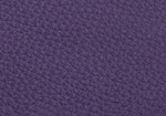 Swatch for Color Purple