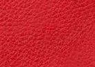 Swatch for Color Red Berry