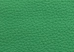 Swatch for Reverse Color Emerald