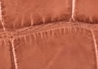 Swatch for Color Cognac