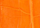 Swatch for Color Orange