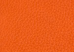 Swatch for Reverse Color Orange