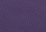 Swatch for Reverse Color Purple