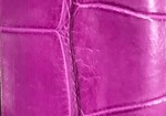 Swatch for Color Magenta