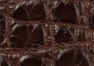 Swatch for Color Chocolate