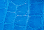 Swatch for Color Turquoise
