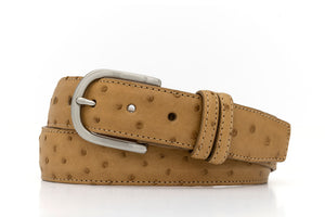 Quilled Ostrich Belt with Brushed Nickel Buckle