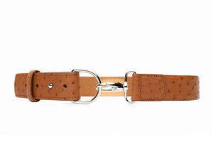 Quilled Ostrich Belt with Nickel Bit Buckle