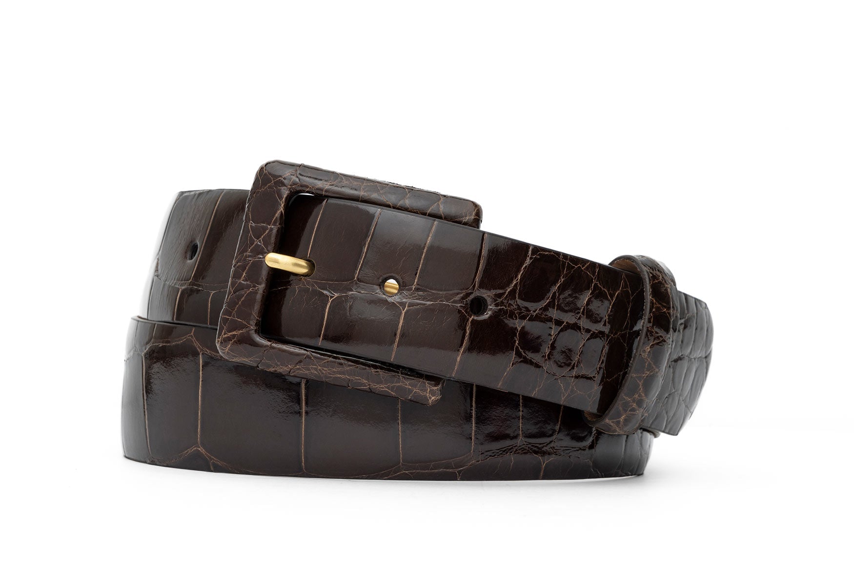 Glazed Alligator Belt with Covered Buckle - Chocolate
