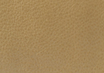 Swatch for Color Antique Tan Citrus